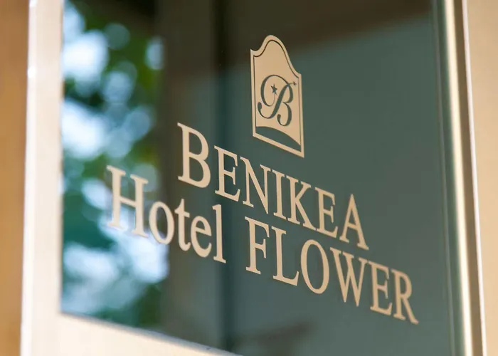 酒店 Benikea Flower 3*